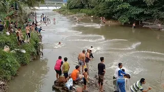 Best Net Fishing - Amazing Traditional Net Fishing By Village People Cast Fish in Indonesia