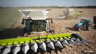 CLAAS LEXION 6900