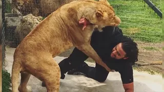 Мужчина спас маленького львёнка, а через 7 лет произошло что-то шокирующее!