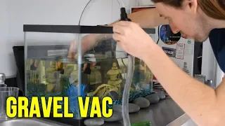 How to use a Gravel Vacuum! Aquarium and Pool Pond Maintenance