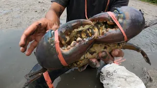 Oh ! This Way Of Catching Big Crab Is Amazing