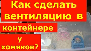 #Хомяки#каксделатьвентиляцию# Как сделать вентиляцию в крышке контейнера у хомяков #shorts