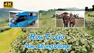 [NEW 4K] HOW not TO GO DOI MAE SALONG VILLAGE in Chiang Rai from Bangkok  - Full Guide
