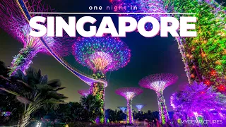 ONE NIGHT IN SINGAPORE | 4K UHD | The colourful night views!