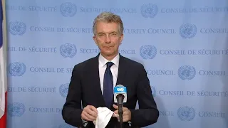 Security Council President (Germany) on Yemen - Security Council Media Stakeout (28 July 2020)