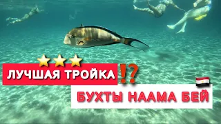 🇾🇪 ЕГИПЕТ 2024 ЛУЧШАЯ ТРОЙКА БУХТЫ НААМА БЕЙ ⁉️ Naama blue hotel 3* / Sham el Sheikh /