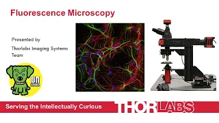 Fluorescence Microscopy: Technology, Fundamentals, and Applications