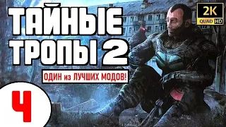 S.T.A.L.K.E.R. 🔥 ТАЙНЫЕ ТРОПЫ 2 🔥 #4 ПРИЗРАК и ПРОЗРЕНИЕ!