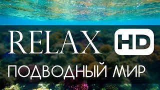 Релакс подводный мир океана HD 1080p (спокойная живая музыка)