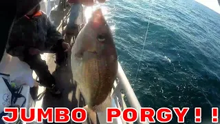 Porgy Fishing (scup) was on Fire in New Jersey