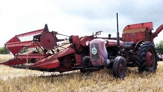 Massey Ferguson 35 harvesting Barley with JF MS70 Harvester