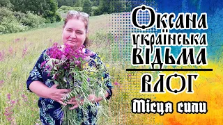 Місця сили Української відьми Оксани. #влог #відьма #прогулянка