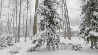 Today Heavy Snow Storm in Toronto and GTA - Driving in Snow Storm in Winter Wonderland