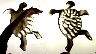 Camille Saint-Saëns - Carnival of the Animals, Tortoises, sand animation