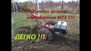 Вспашка дерна мотоблоком МТЗ