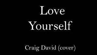 Craig David - Love Yourself (Justin Bieber Cover) Lyric Video