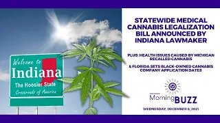Statewide Medical Cannabis Legalization Bill Announced By Indiana Lawmaker