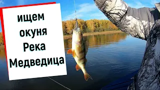 Рыбалка на реке Медведица, идем к плотине!