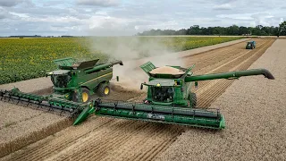 MOISSON DANS UNE FERME EXCEPTIONNELLE - FULL JOHN DEERE 😵 🤠 🌾 LE RENDEZ-VOUS À NE PAS MANQUER ‼️