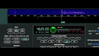 UVB-76 "The Buzzer" 4625 kHz - Hooligan message