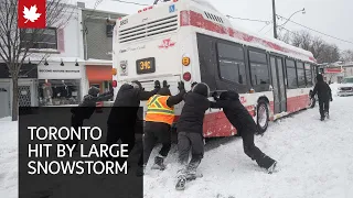 Snowstorm blankets Toronto, shutting highways and closing schools