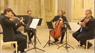 W. A.  Mozart  Quintetto k581 (1° movimento)