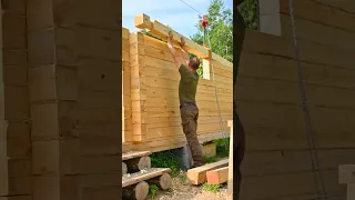 I Beginning Building Log Cabin  for Recreation - Alone