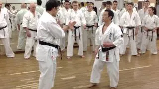 Kyokushinkan Bunkai Kumite Pinan Sono Yon