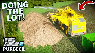 THIS FIELD PRODUCED A CRAZY AMOUNT OF BEET! | Purbeck | FARMING SIMULATOR 22 - Episode 26