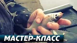 Как Удачно Рыбачить с Берега Поплавочной Снастью. "Мастер-Класс" видео 153