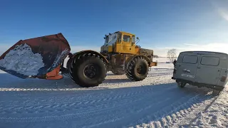 Лесозаготовка в Казахстане