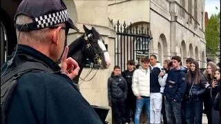 BEES 🐝 NOISY! POLICE Officer confront and tells them to SHUSH 🤫 as warning ‼️