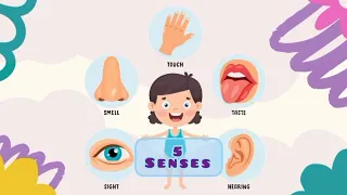 "Unveiling the Wonders: Our 5 Senses|Song|Flash Cards|Nursery Rhymes|Learning For Kids @Kidshub87