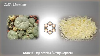 Erowid Trip Reports #2 Drug Stories | DMT Mescaline