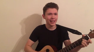 А. Я. Розенбаум - Утиная охота (Cover by Daniil Evseev/Даниил Евсеев)