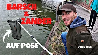 Köderfischangeln mal anders | Mit Pose auf Barsch und Zander | Ansitz am Kanal | Vlog #66