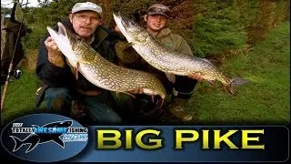 BIG PIKE FISHING with DEADBAITS! - TAFishing Show