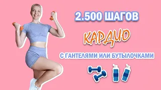 Кардио тренировка с гантелями или бутылочками ( можно и без) | Natinfitness