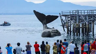 Tourist Caught a Moment That Can’t Go Unnoticed