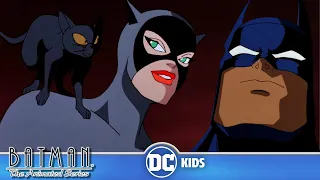 Catwoman BEGINS! 🐱 | Batman: The Animated Series | @dckids