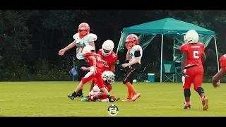 FL Pop Warner War: Tampa Bay Cardinals vs Plant City Dolphins (filmed by @grind.studios840