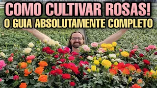 AULÃO DAS ROSEIRAS - APRENDA TUDO SOBRE AS ROSAS - Produção de MINI ROSA - Jardim