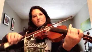 Day 28 - Black Mountain Rag - Patti Kusturok's 365 Days of Fiddle Tunes