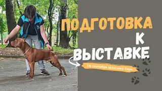 Тренируюсь выставлять. Купила защелку "кобра".