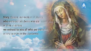 Prayer to Our Lady of the Assumption