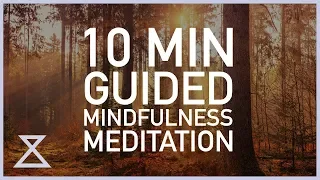 Guided Mindfulness Meditation (10 Minutes) No Music