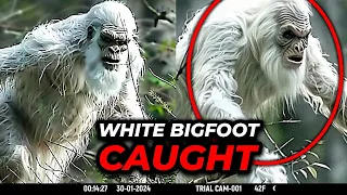 Shocking Trail Cam Footage Unveils WHITE BIGFOOT