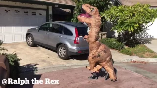 T-REX TAKES CHRISTMAS TREE TO THE TRASH!