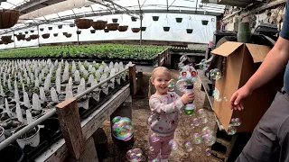 THE GREENHOUSE NEVER LOOKED LIKE THIS BEFORE