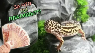 ОТ ЧЕГО ЗАВИСИТ СТОИМОСТЬ ЭУБЛЕФАРА ???